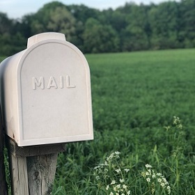 When to Replace Your Mailbox
